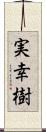 実幸樹 Scroll