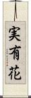 実有花 Scroll