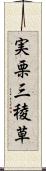 実栗 Scroll
