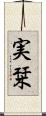 実栞 Scroll