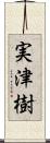 実津樹 Scroll