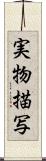 実物描写 Scroll