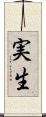 実生 Scroll
