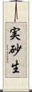 実砂生 Scroll