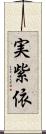 実紫依 Scroll