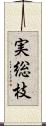 実総枝 Scroll