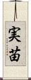 実苗 Scroll