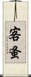 客蚤 Scroll