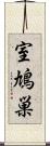 室鳩巣 Scroll