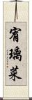 宥璃菜 Scroll