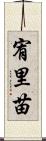 宥里苗 Scroll