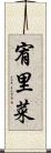 宥里菜 Scroll