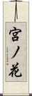 宮ノ花 Scroll