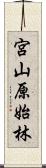 宮山原始林 Scroll