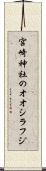 宮崎神社のオオシラフジ Scroll