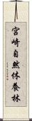 宮崎自然休養林 Scroll