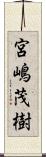 宮嶋茂樹 Scroll