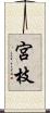 宮枝 Scroll
