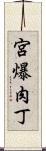 宮爆肉丁 Scroll