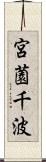 宮薗千波 Scroll