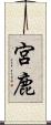 宮鹿 Scroll