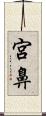宮鼻 Scroll