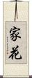 家花 Scroll