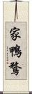家鴨 Scroll