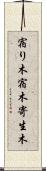 宿り木 Scroll