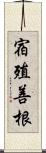 宿殖善根 Scroll