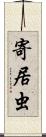 寄居虫 Scroll