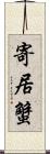 寄居蟹 Scroll