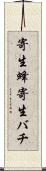 寄生蜂 Scroll