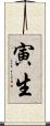 寅生 Scroll
