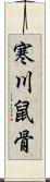 寒川鼠骨 Scroll