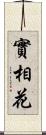 實相花 Scroll