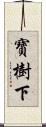 寶樹下 Scroll