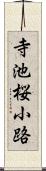 寺池桜小路 Scroll