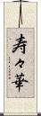 寿々華 Scroll