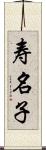 寿名子 Scroll