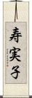 寿実子 Scroll