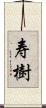 寿樹 Scroll