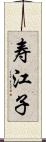 寿江子 Scroll