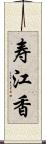 寿江香 Scroll