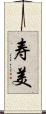 寿美 Scroll
