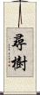 尋樹 Scroll