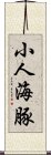 小人海豚 Scroll