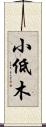 小低木 Scroll