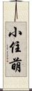 小住萌 Scroll