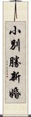 小別勝新婚 Scroll